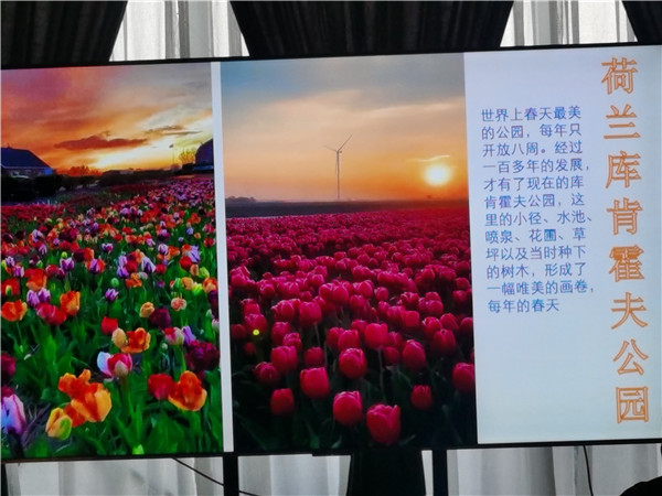 四川中青(qīng)旅绵(mián)阳分社独(dú)家(jiā)定制圆梦欧(ōu)洲系列 - 大全景 9 国 16 天 德(dé)国-法国-瑞士-意大利-奥地(dì)利-荷兰(lán)-比利时-列(liè)支(zhī)敦士(shì)登-卢森堡